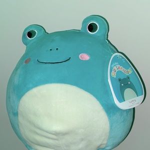 Ludwig The Frog 8” Squishmallow NWT